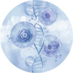 Natural Hormone