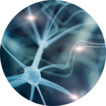 Methylcobalamin